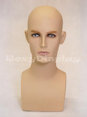 Male mannequin head