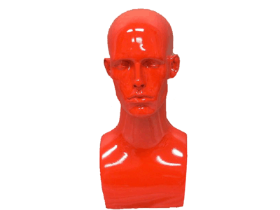 Male mannequin head