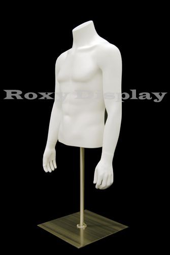 Table Top Headless Male Mannequin Torso With nice figure and arms