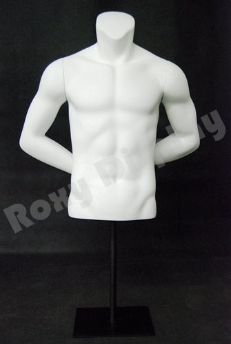 Eye Catching Male Headless Mannequin Torso - Athletic Style - Both hands behind back