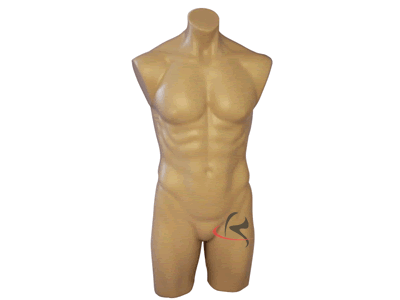 Male full round plastic mannequin