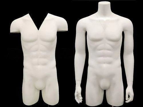 Male Mannequin Torso - With nice body figure and arms - Removable neck and Arms