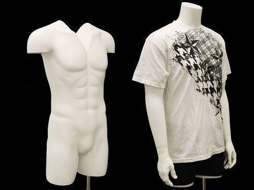 Male Mannequin Torso - With nice body figure and arms - Removable neck and Arms