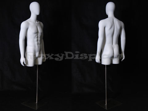 Egg Head Male Mannequin Torso with nice body figure and arms